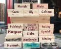 Customize your yard Jenga set. 
These come with giant cedar tool box to carry all 51 jenga blocks. We made this one above for our softball girls end of the year fall party. 

51 block
1 giant cedar tool box
1 color one each block
All 51 blocks with name or saying on them
Prices starting at $110. shipping not included.